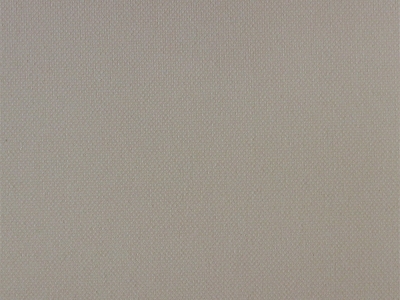 Edge_Ammonite_Back_LR