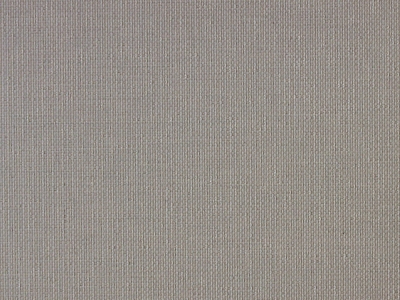 Edge_Ammonite_Front_LR