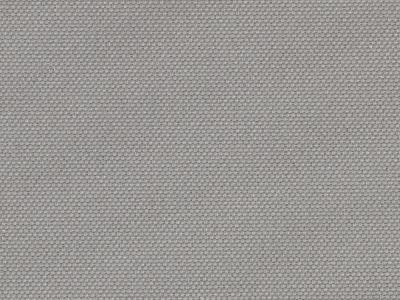 Pal_Beach_BO_porpoise